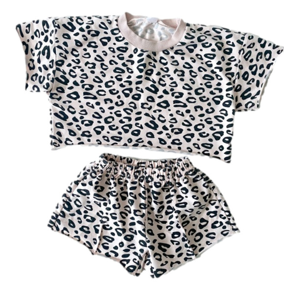 Other - Pink Leopard toddler girl 2 piece outfit size 2T